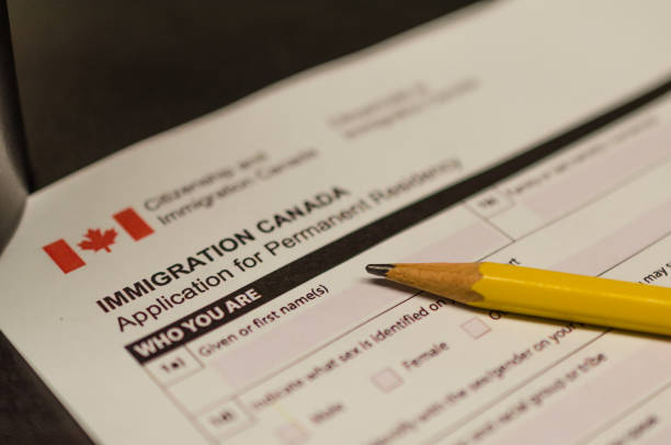 Immigration Consultation